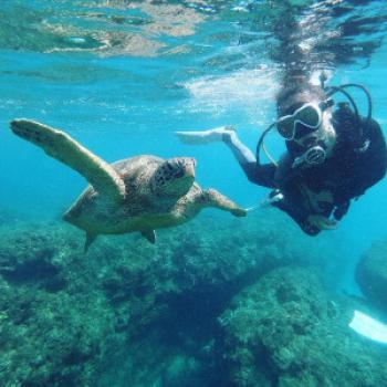 hanna996 - date a German, 100% free hanna996