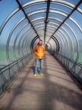 grib84